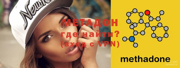 индика Новозыбков