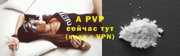 индика Новозыбков