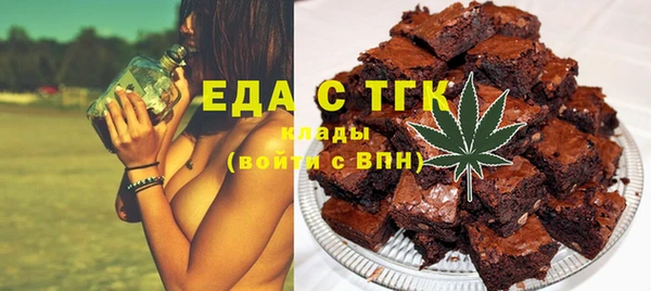 индика Новозыбков