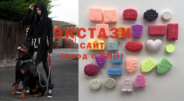 индика Новозыбков