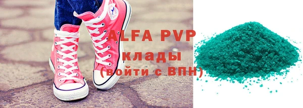 индика Новозыбков