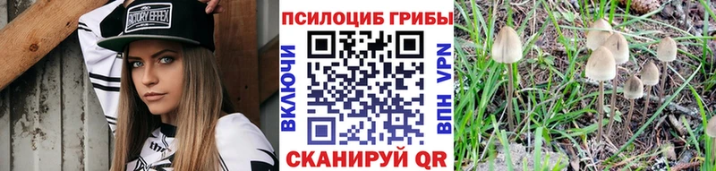 Псилоцибиновые грибы MAGIC MUSHROOMS  Красный Сулин 